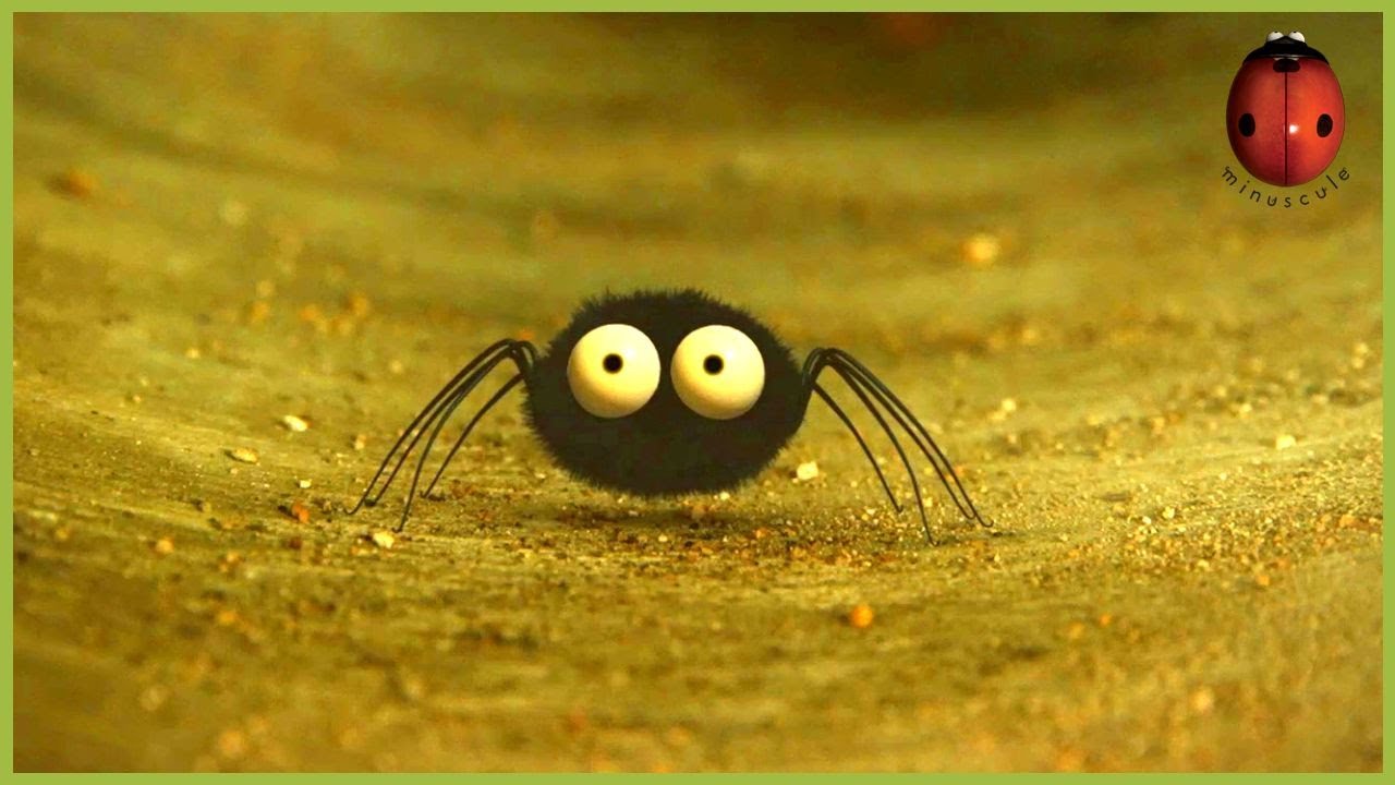 Labyrinth | Minuscule 🍃🕷️ 20' Compilation