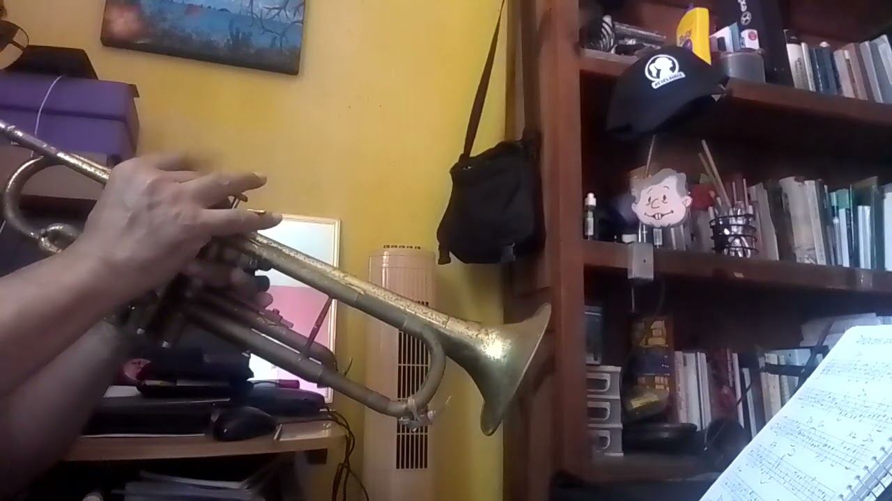 28 de febrero de 2026