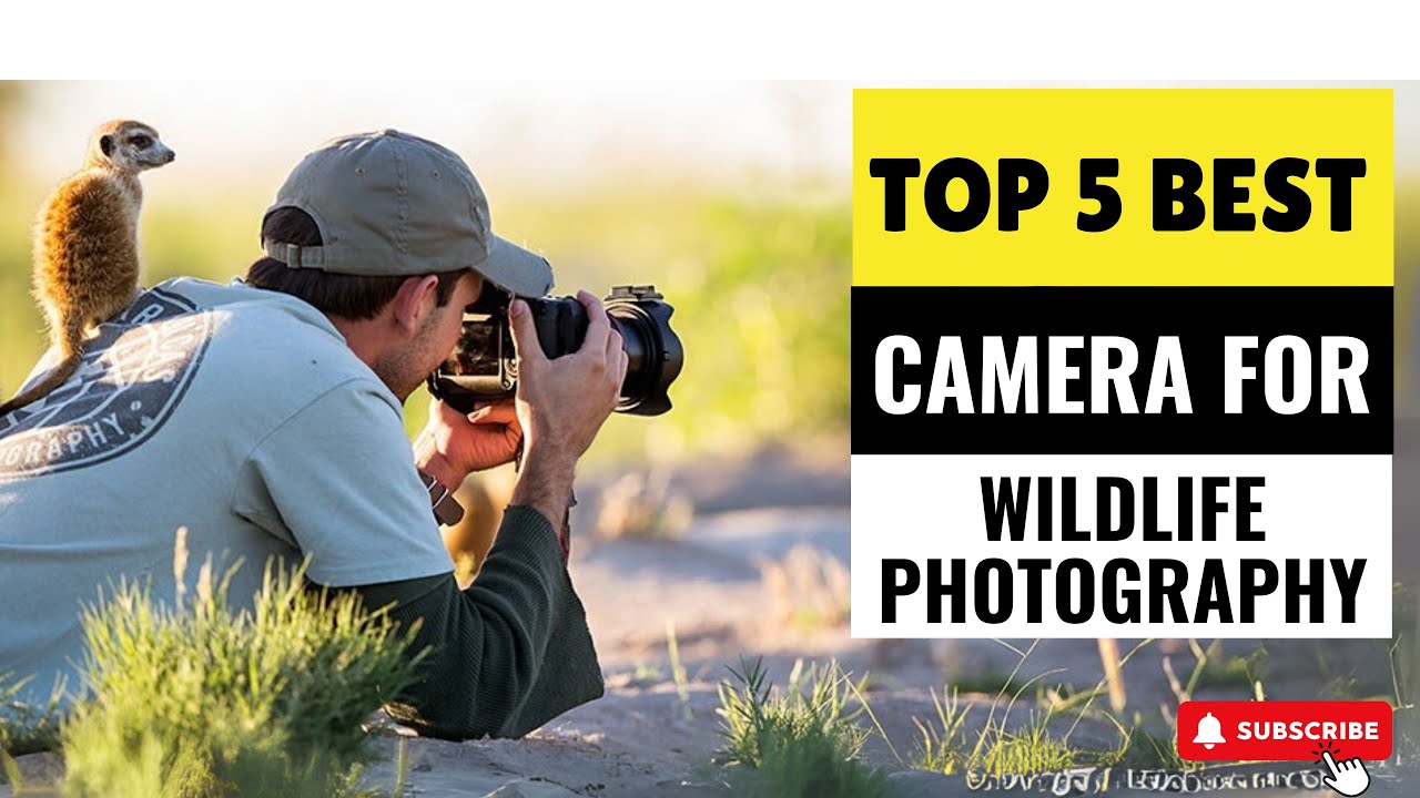 Best Camera for Wildlife Photography 2025 - (Which One Reigns Supreme?)