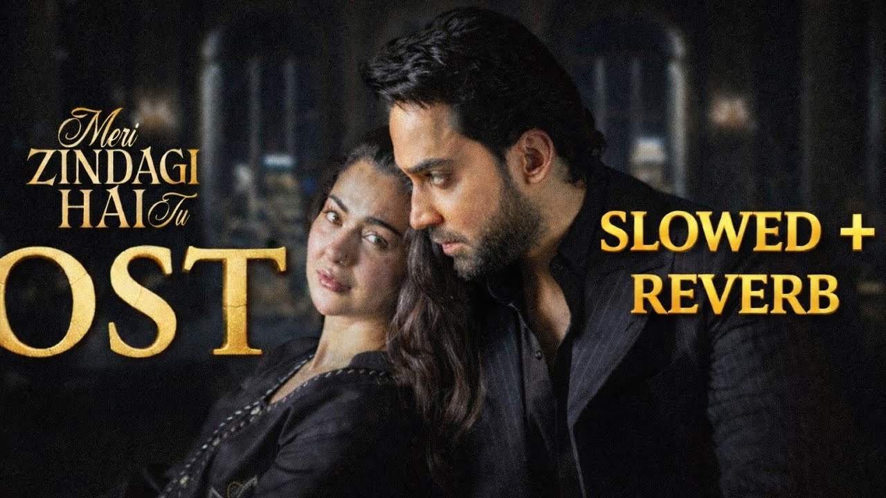 Meri Zindagi Hai Tu – Slowed + Reverb | Pakistani Love Song | Night Chill Vibes