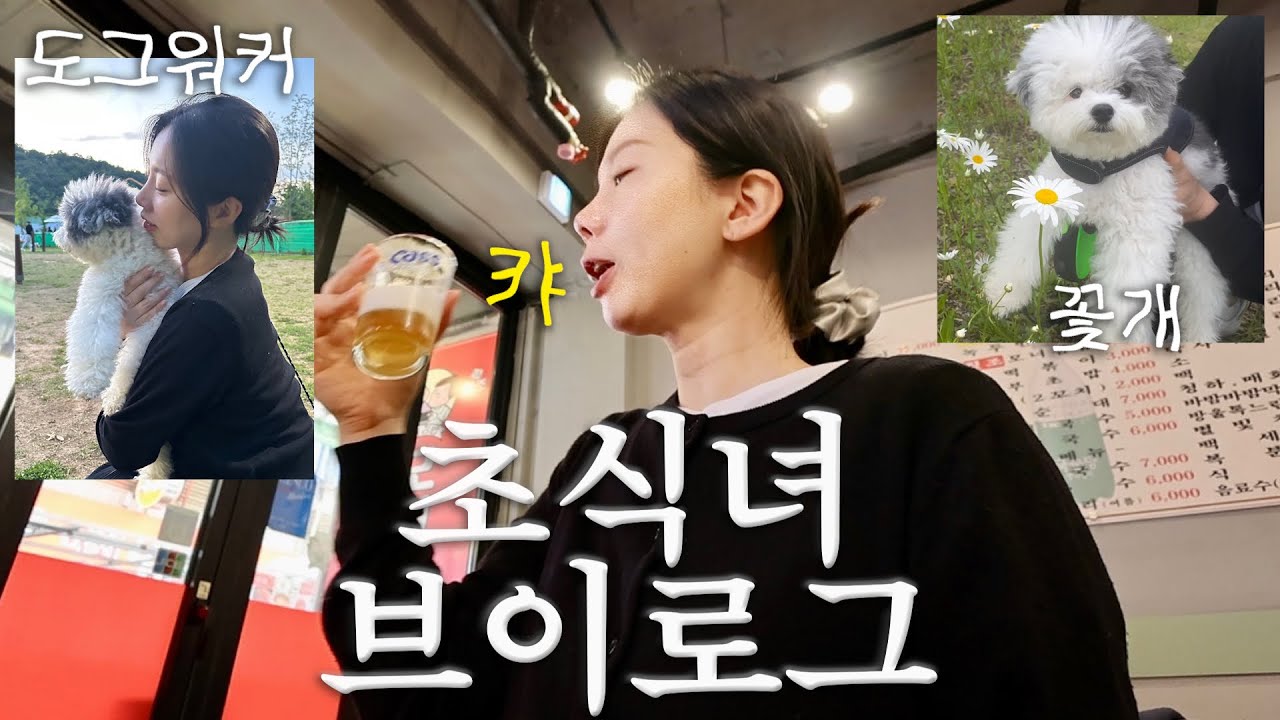 🍻광장시장 낮술하고 강쥐산책하는 초식녀 일상브이로그+트레이더스 30만원 언박싱