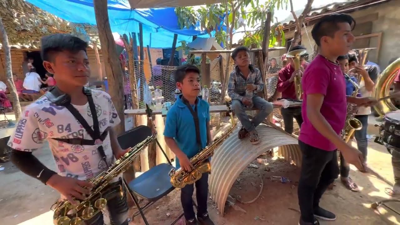 El burro loco SON LOS NIÑOS FENÓMENOS DEL MOMENTO este video de los niños merece ser viral 👌🎶