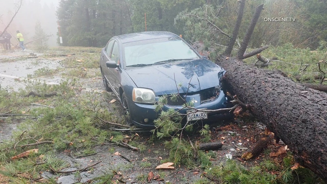 Massive Tree Crushes Vehicles in Crestline, Children Escape