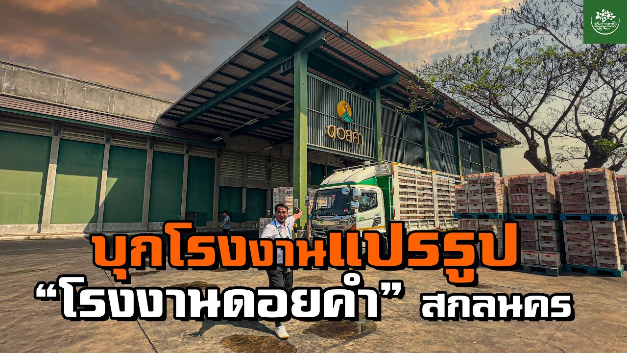 บุกโรงงานแปรรูป ผลไม้ ที่ดีสุดในอีสาน ผลิตยังไง?  “โรงงานดอยคำ” สกลนคร