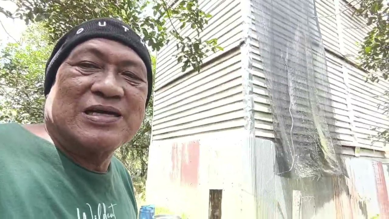 Rbw umur 5 tahun, sarang 18 keping saja.