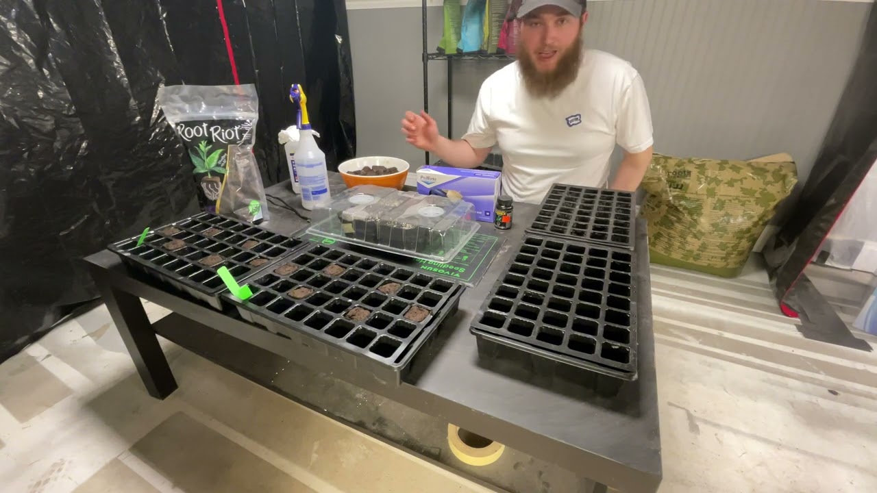 🌱 CLONE LIKE A BOSS! 🛠️ DIY Clone Chamber + Root Riot Microbe Tea Experiment! 🔬🔥