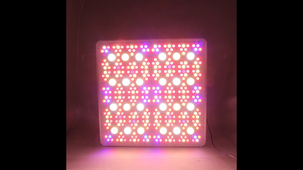 ECO Farm Cree COB 300W Full Spectrum Led Grow Light