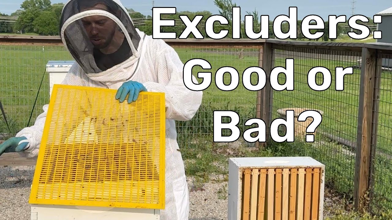 BEEKEEPING: How & When to use Queen Excluders