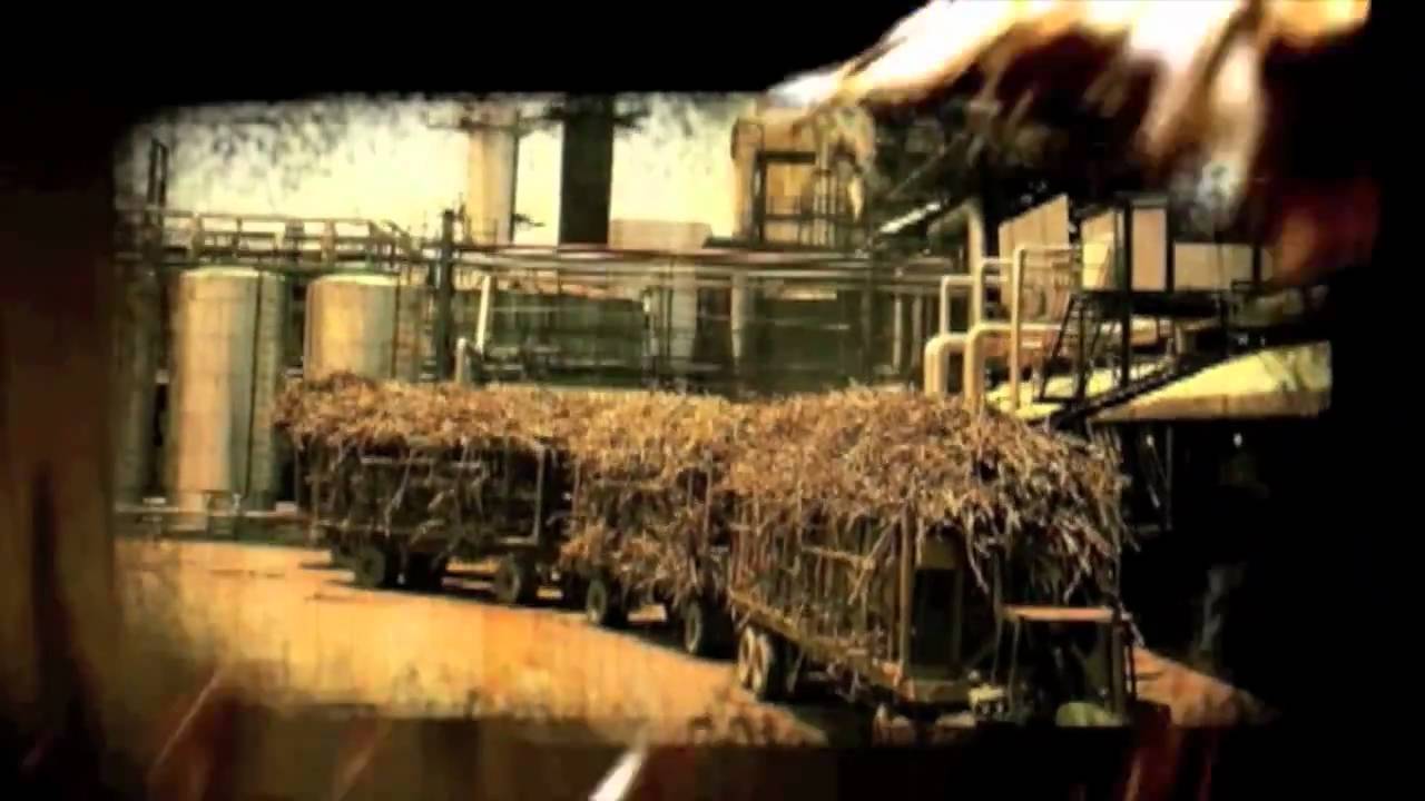 Proceso de Producci&oacute;n de Ron Diplom&aacute;tico