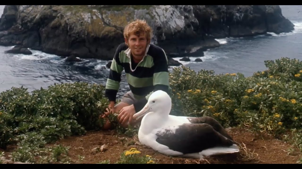 Subantarctic Islands: The Heart of Heritage Expeditions