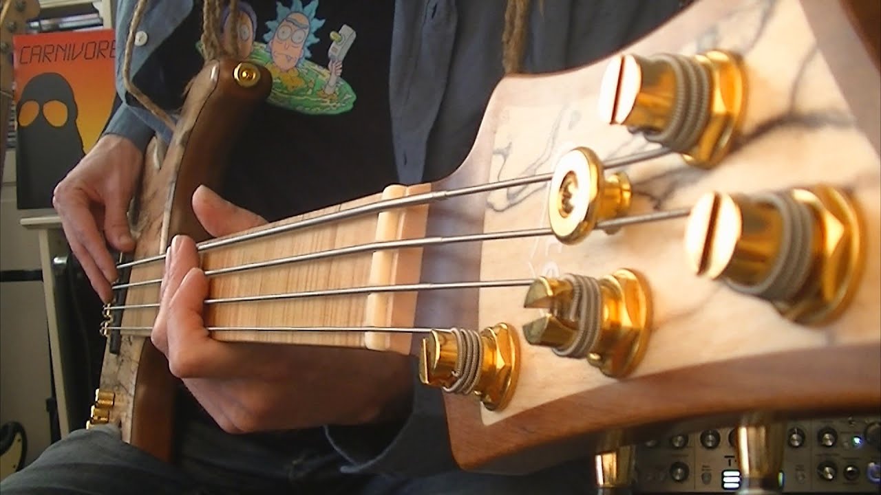 Psychedelic Fretless Funk Rock Bass with Delay
