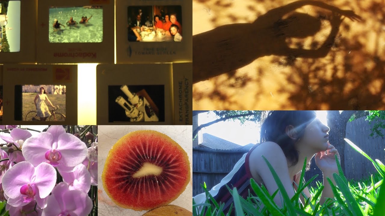 my perfect days