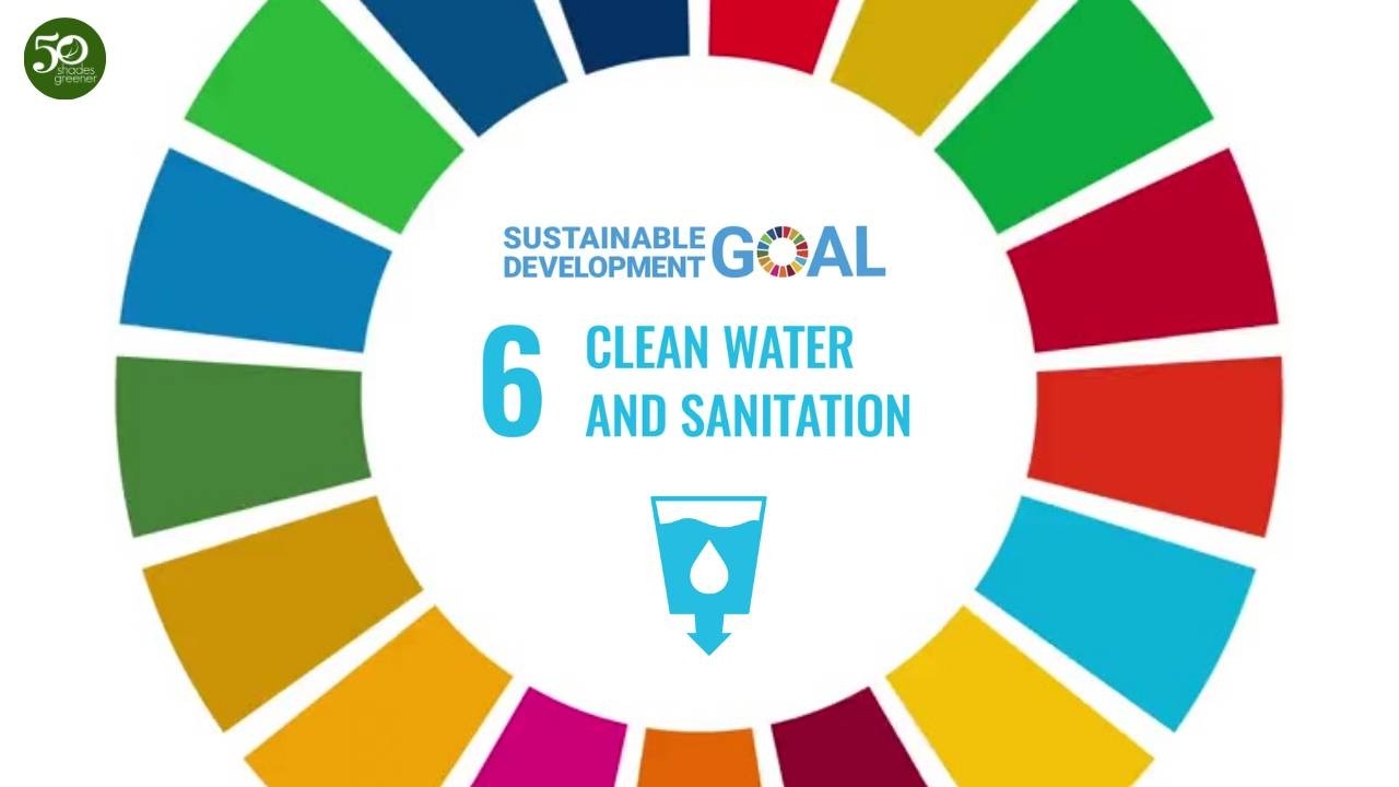 Interdisciplinary Performance Task - SDG Advocacy - CleanWater&San. (SDG 6) - STEM 11 Gr.3, SY 25-26