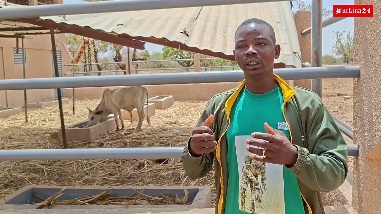 VDP agricoles à Bissiri : Voyez comment ils domptent l'élevage de volaille et de ruminants !