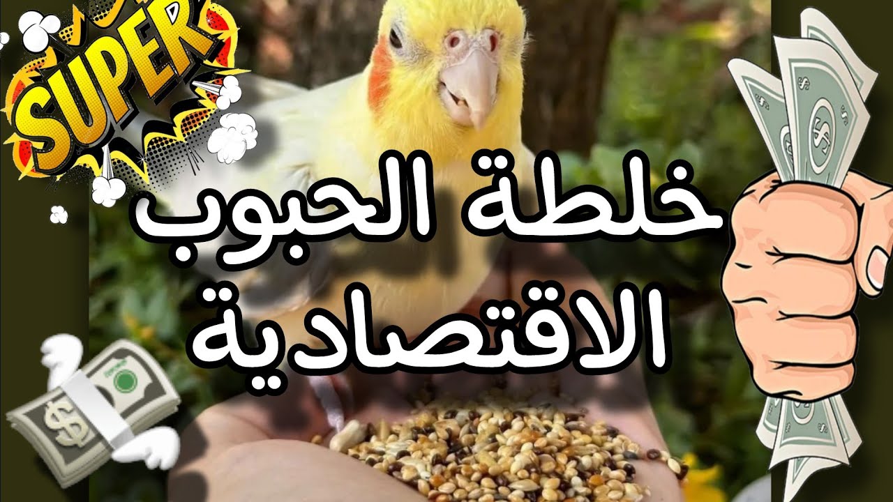 افضل خلطة اقتصادية لحبوب العصافير  باقل تكلفة تلبى كل احتياجات طيورك