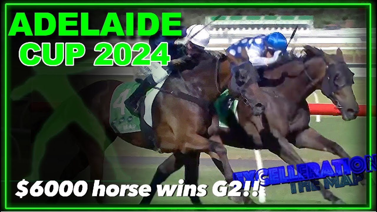 2024 Adelaide Cup won by $6000 horse!!!