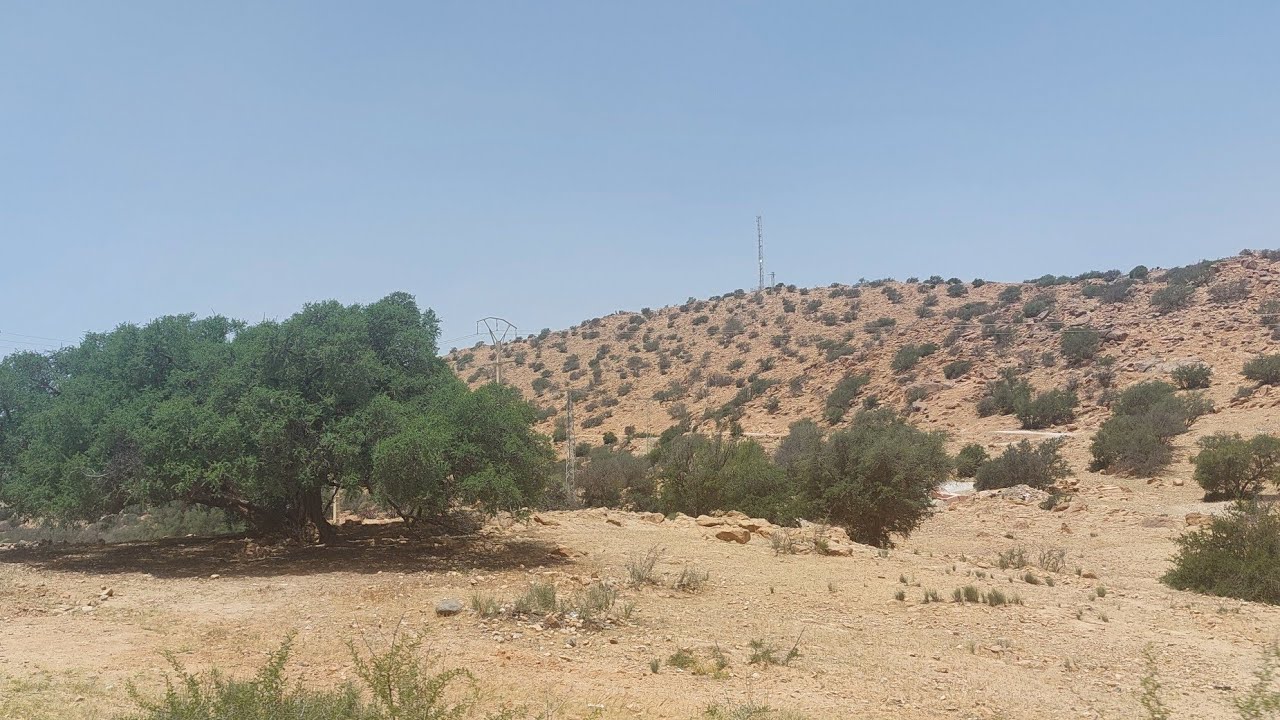 Tafrout, driving through the central part of the Anti-Atlas mountains #maroc