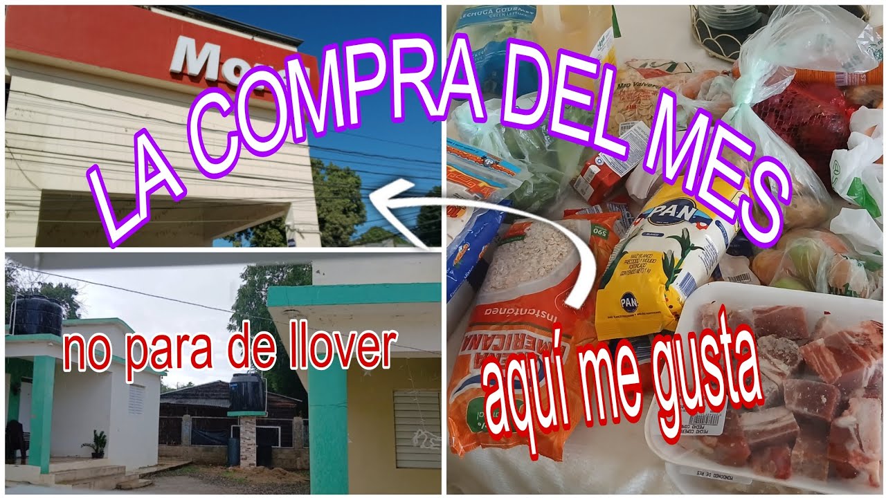 VLOGS ✨️ TODO LO QUE COMPRE 3,500/ NO PARO DE LLOVER 🌦/ MINI HUERTO EN CASA 🏡 