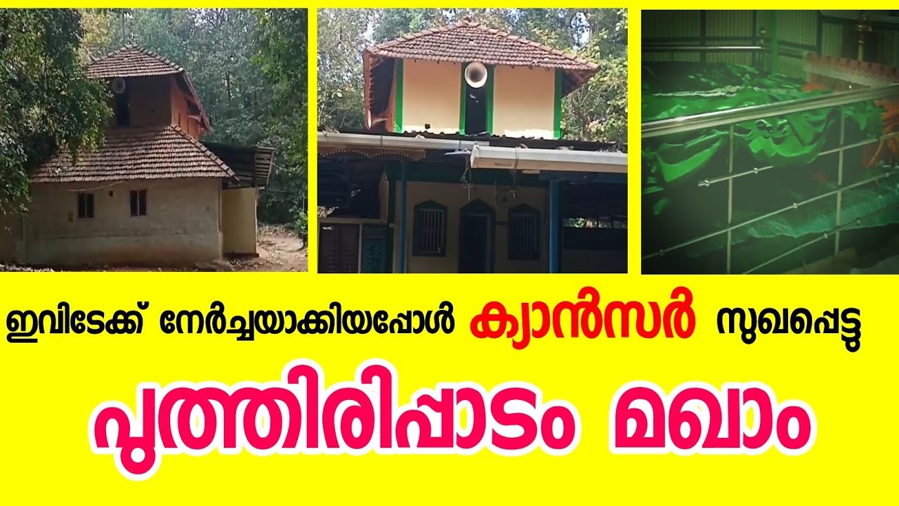 പുത്തിരിപ്പാടം മഖാം | Puthirippadam maqam near kaliyarode maqam #maqam #mazar