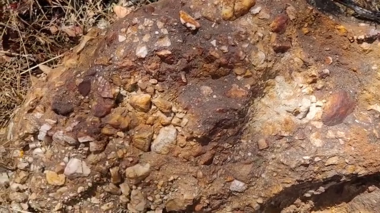 Quartz Vein and Quartz Conglomerate in the Castlemaine Group