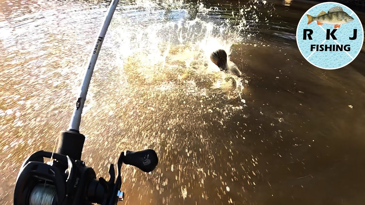 Cracking The Code Murray Cod Fishing With Lures