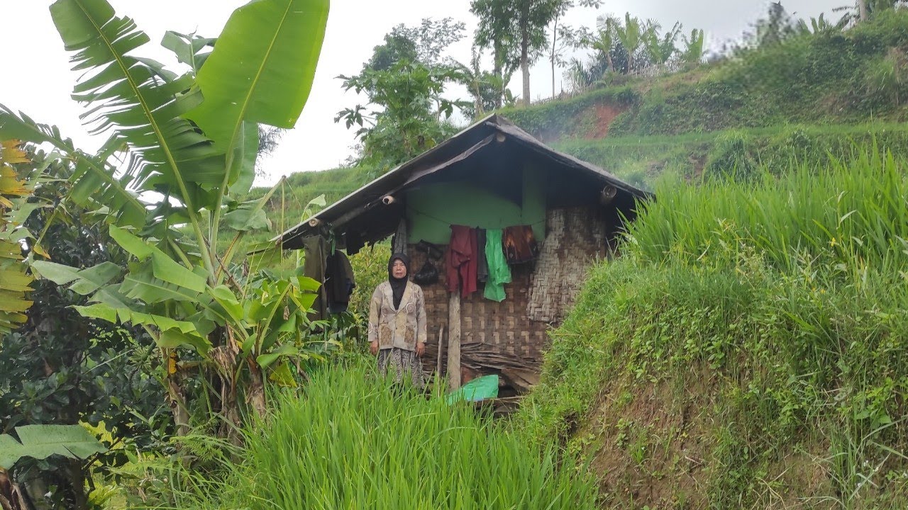 LUARBIASA PEMBERANI..IBU TANGGUH TINGGAL SENDIRI DI GUBUK KECIL TENGAH HUTAN TANPA TETANGGA