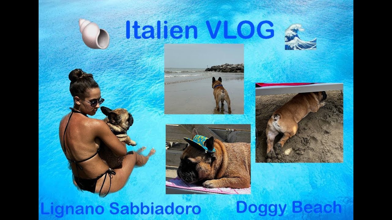 Italy Lignano Doggy Beach Италия отпуск