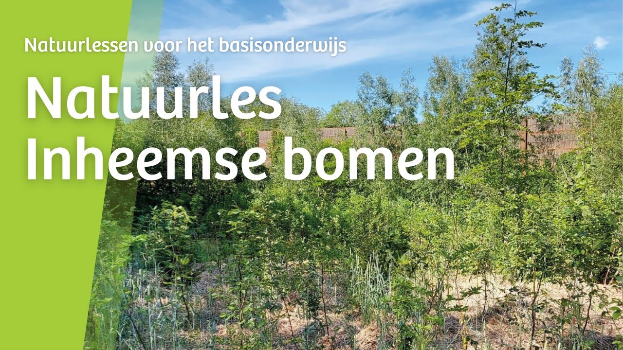 Natuurles: Inheemse bomen
