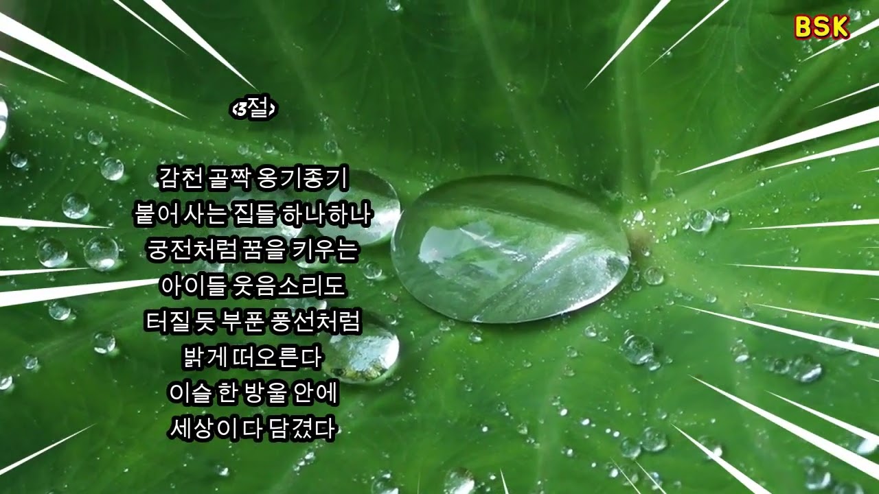 이슬 속에 바라본 세상  배성근 시노래ㆍ작사 배성근 ㆍ곡, 영상 배성근 ㆍ노래  알토스