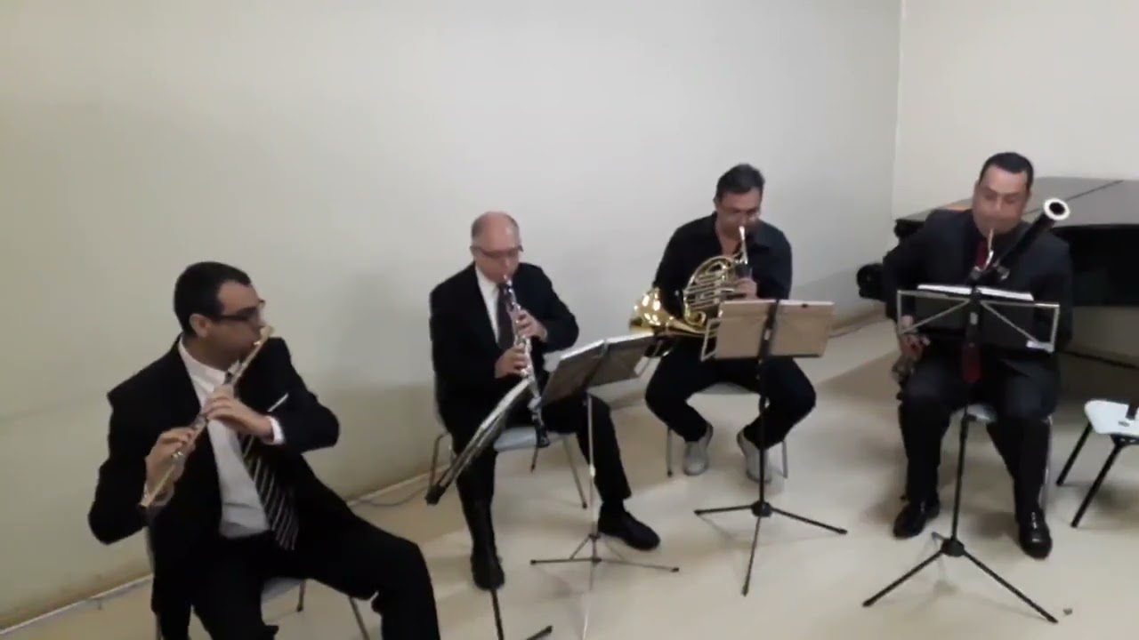 #ccb #ccbhinos #cctv #bassoon #trompa #flauta #oboe 