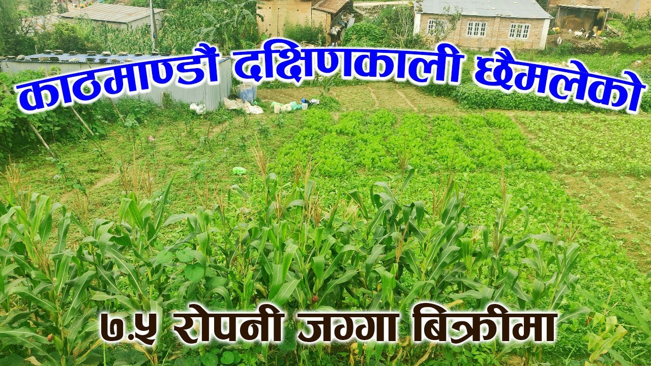 काठमाडौँ दक्षिणकाली छैमलेको  ७.५ रोपनी जग्गा बिक्रीमा ।  Land on sale at Chhaimale, Kathmandu.