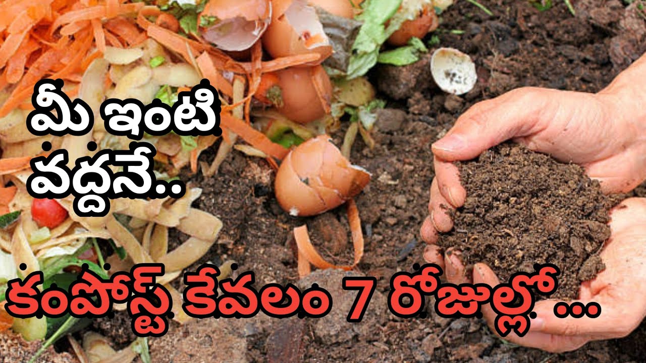 How to make Compost in  7days #compost with cow dung #instant compost #diy #kitchen waste reuse