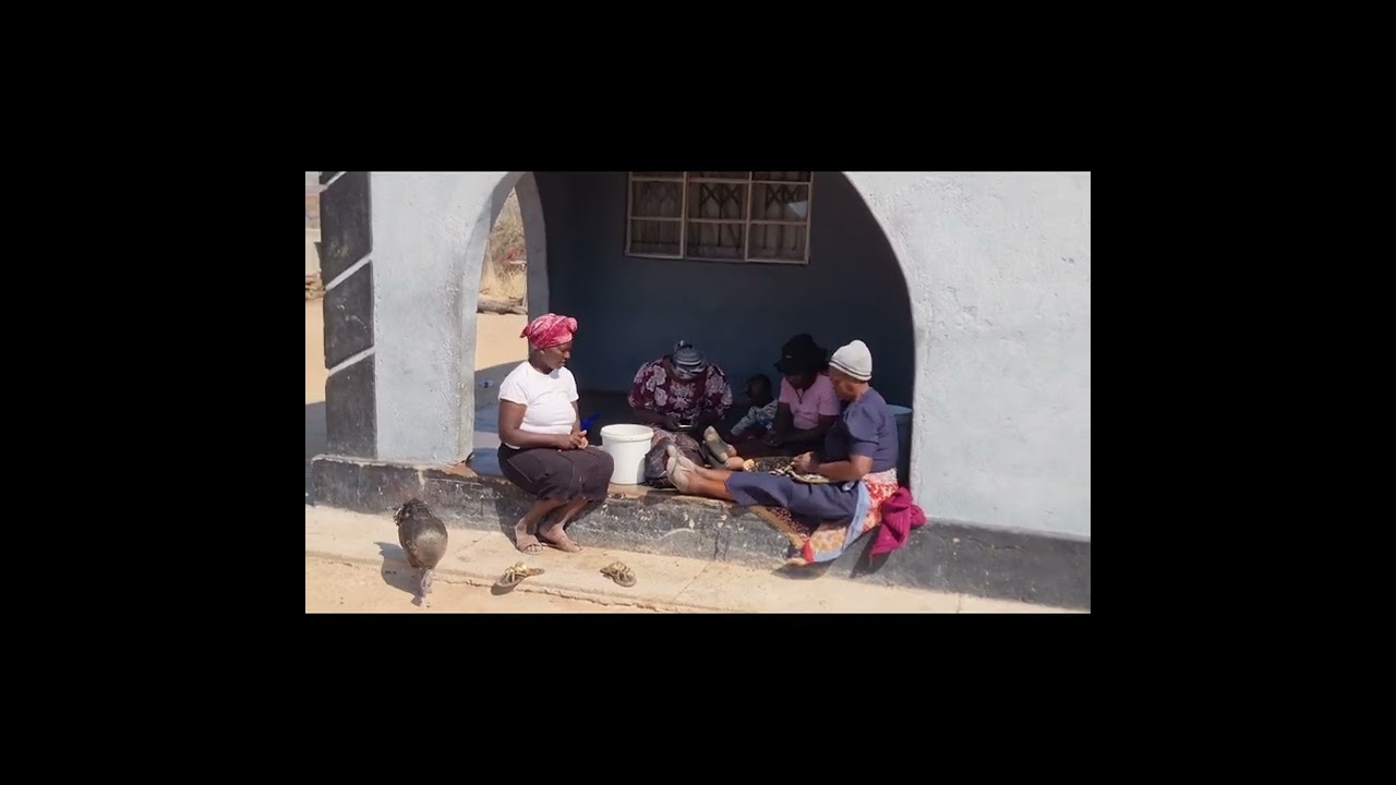 Village Farming a sustainable investment destination for Zimbabwean🇿🇼 diaspora!