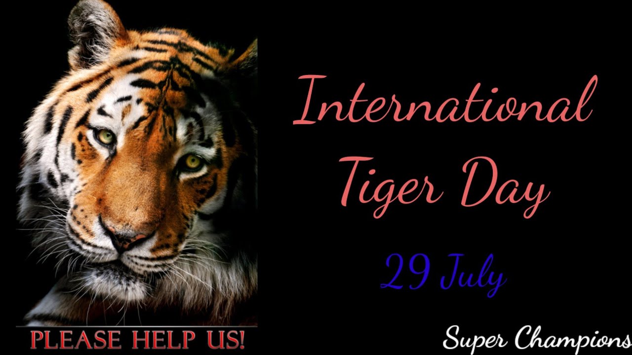 International Tiger Day Whatsapp Status 2021 | World Tiger Day Status | Global Tiger Day