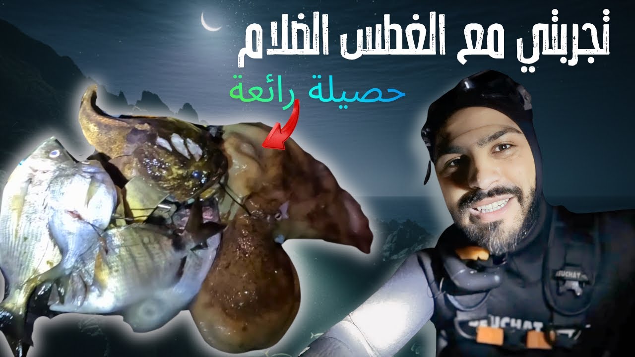 صيد السمك بالليل : مغامرة مرعبة! صيد سمك وأخطبوط كبير ⚓️🔦