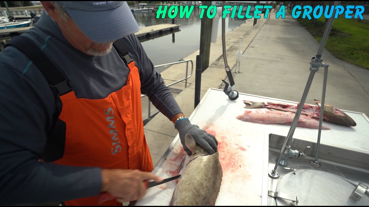 How To Fillet A Grouper