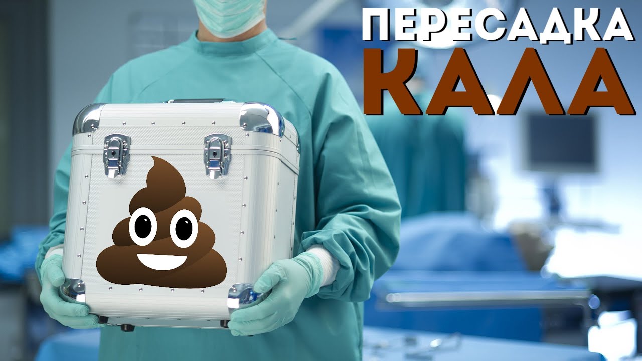 Что такое пересадка кала? | Трансплантация фекальной микробиоты