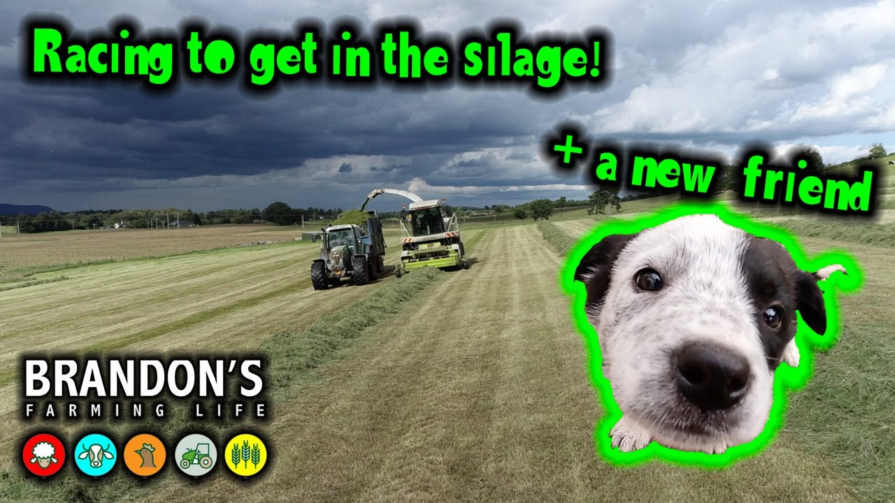 Lots of jobs and collecting silage