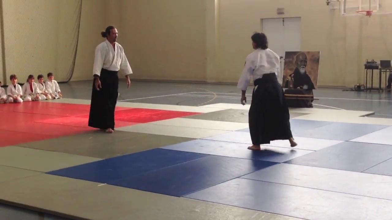 AIKIDO LANZAROTE EXHIBICION 2014
