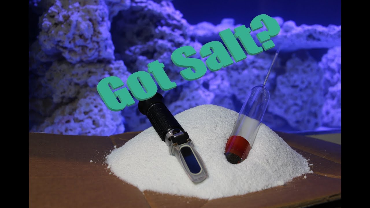 1600 Gallon System Update - Got Salt?