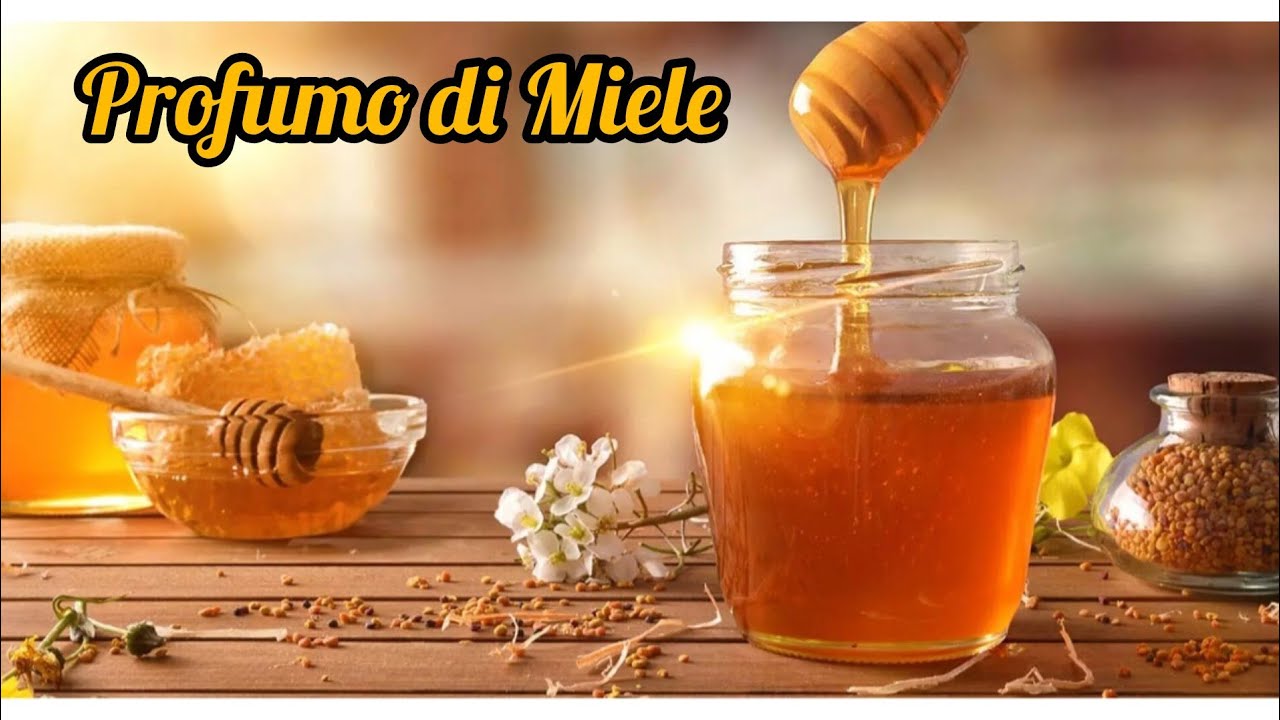 Profumo di Miele 🍯 #profumo #profumi #profumizio #profumilowcost #miele