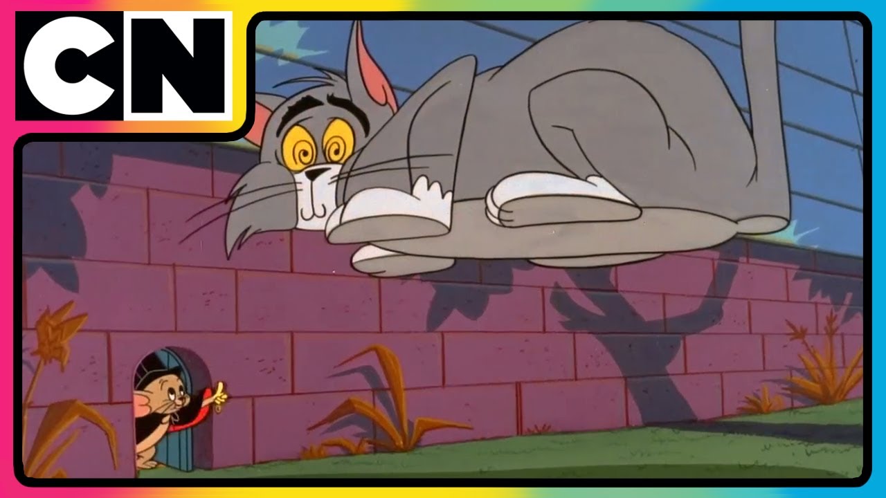 The FUNNIEST Cat and Mouse Cartoons Ever - Tom vs Jerry!😺🐭| Cat And The Mouse😍| @cnindia