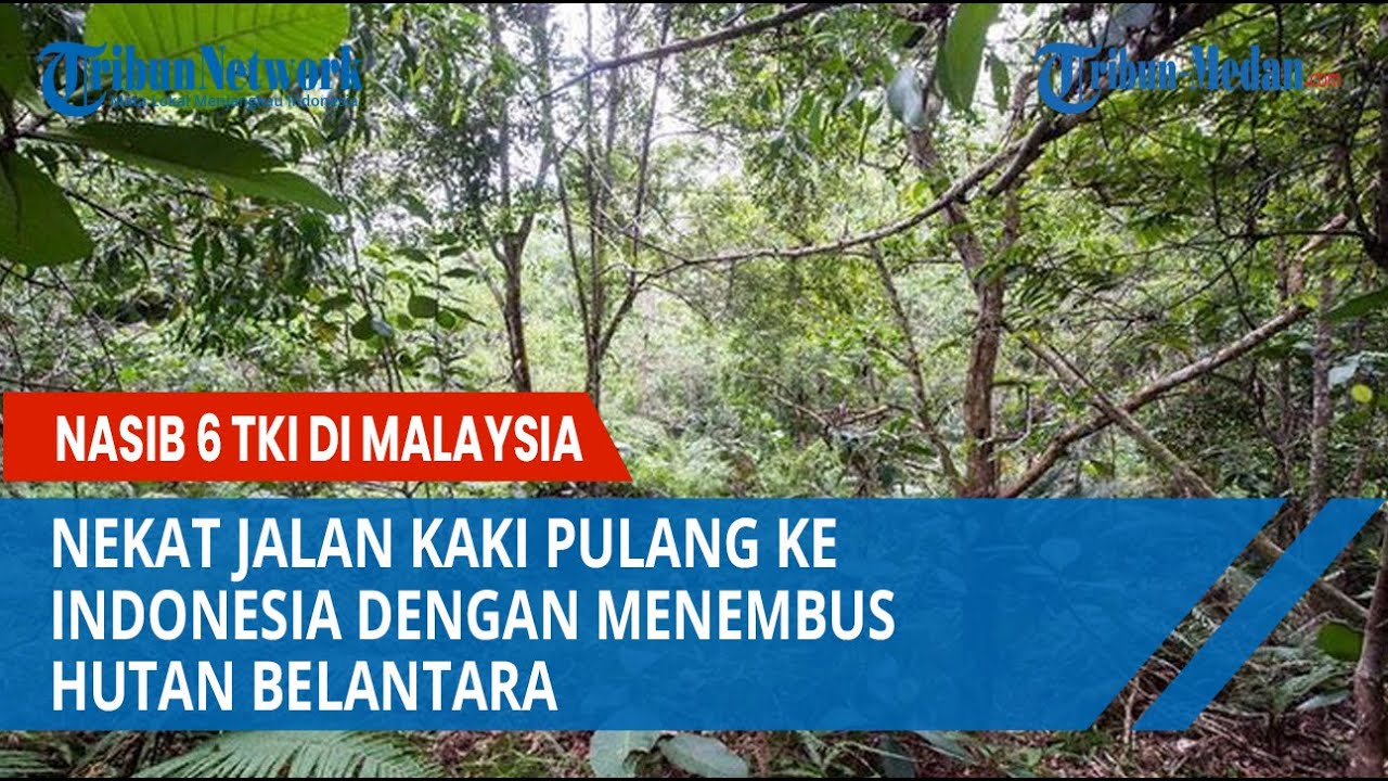 Nasib 6 TKI di Malaysia Nekat Jalan Kaki Pulang ke Indonesia dengan Menembus Hutan Belantara
