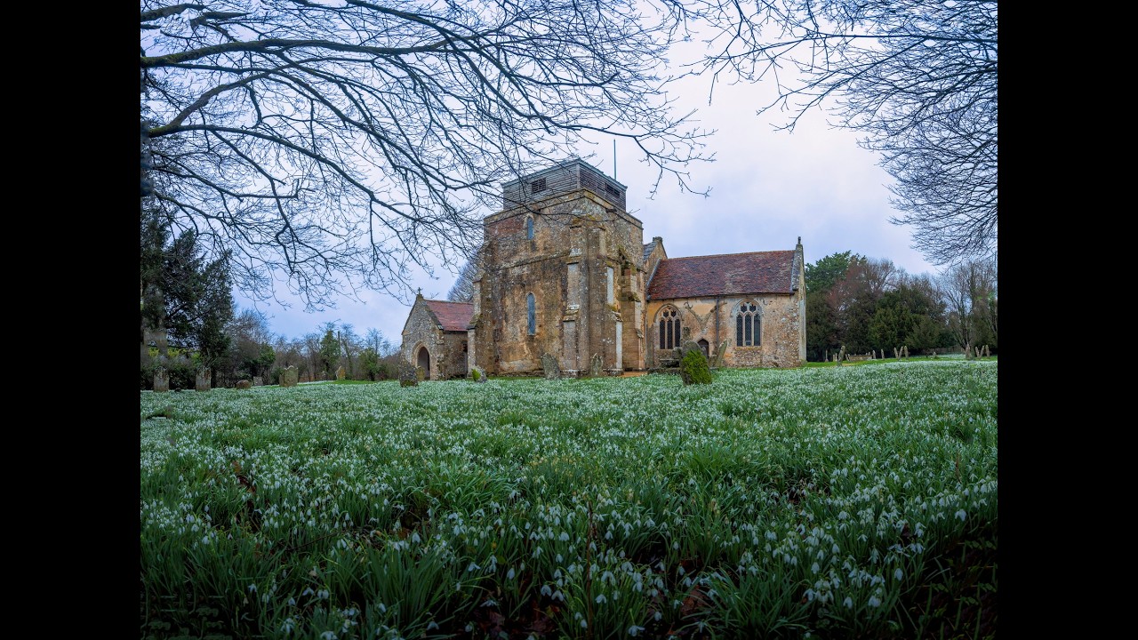 Snowdrops at Damerham