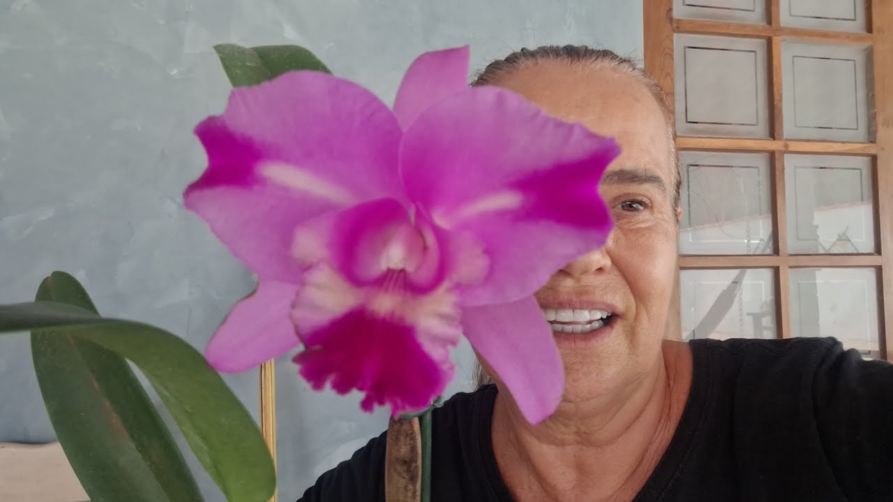 Olá meus amores desafios com sucesso 🥰