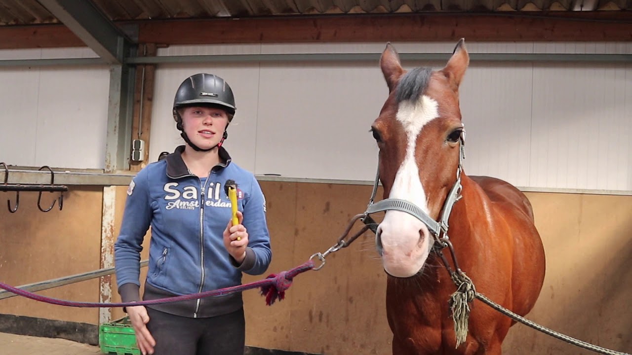 Pony's borstelen met Esmee!
