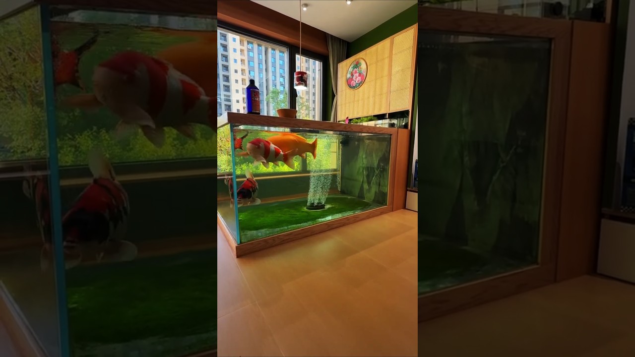 &ldquo;You Won&rsquo;t Believe This 😱&rdquo;#shorts #viralvideo #amazing #crazy #fyp #trend