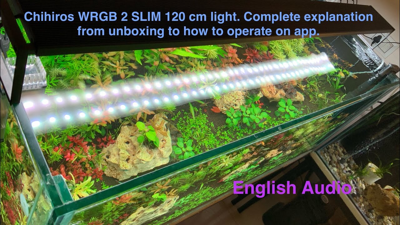 Chihiros WRGB 2 SLIM 120 cm light full explanation video from unboxing to full app. explanation.