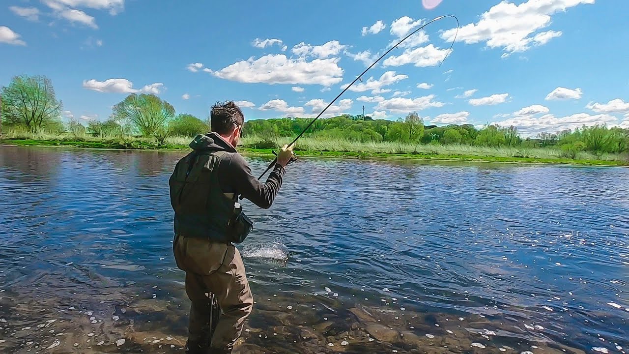 Wiosenny Pstrąg z Sanu |Trout Fishing