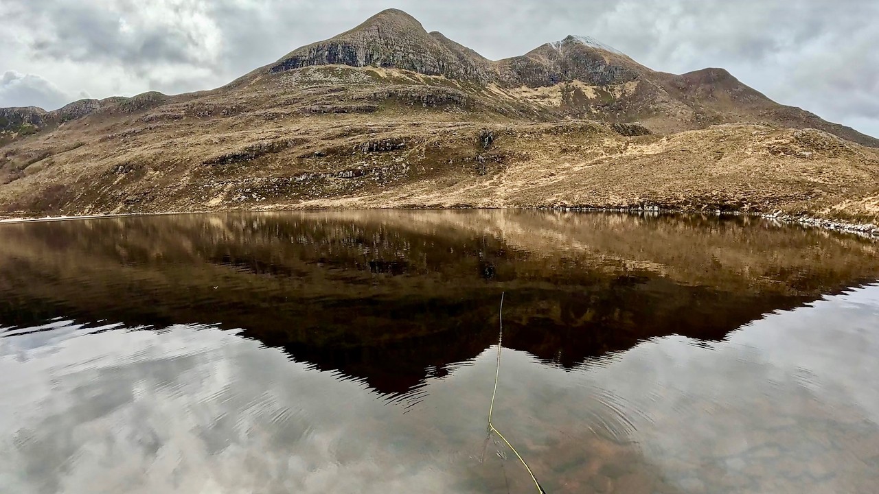 Fishing in the Mountains - WILD Brown Trout